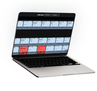 Team Using CellarView